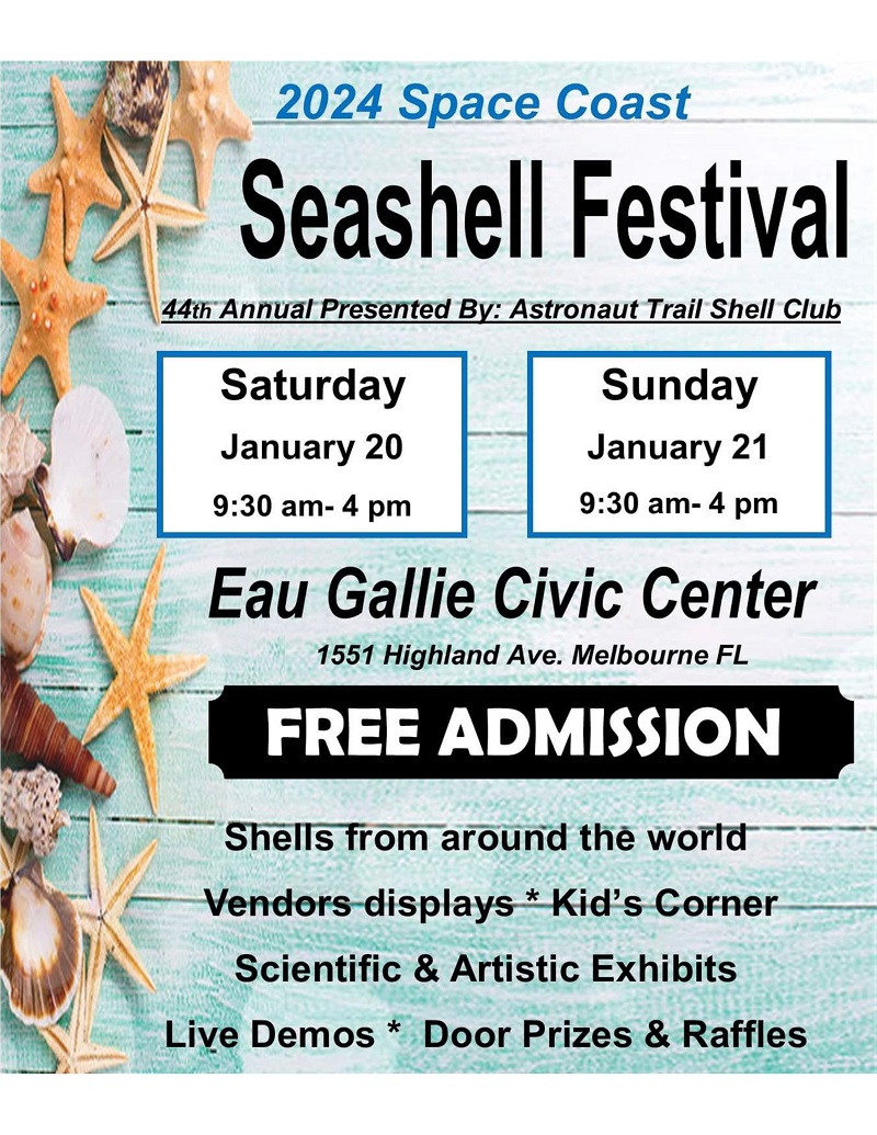 2024 Space Coast Seashell Festival One Senior Place