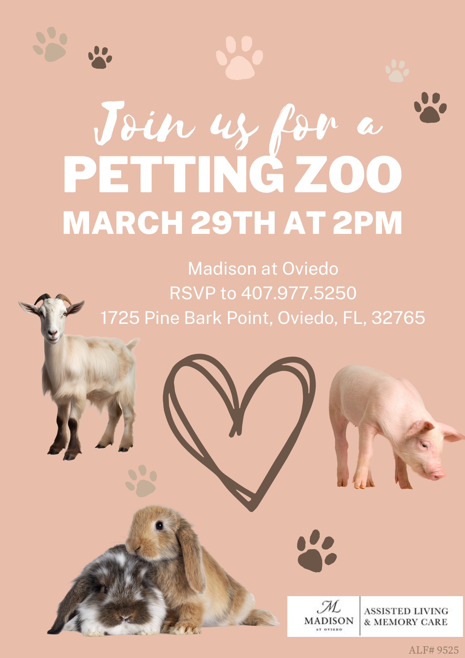 Petting Zoo at Madison by Oviedo