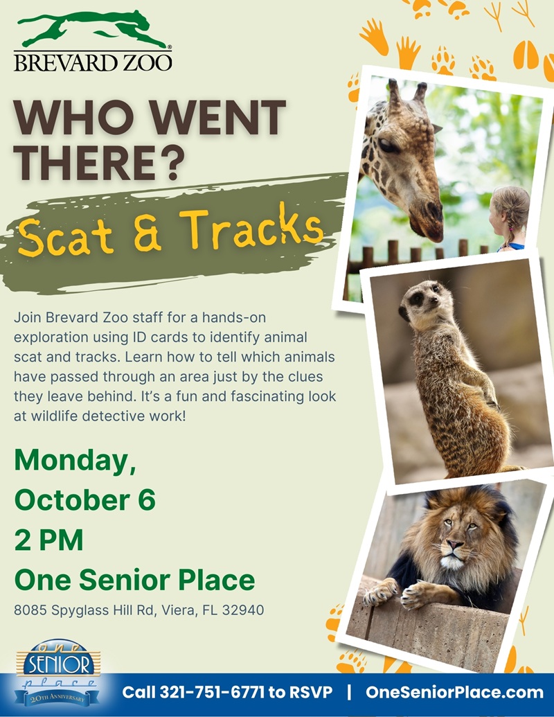 Who Went There? Scat & Tracks Activity w/ The Brevard Zoo
