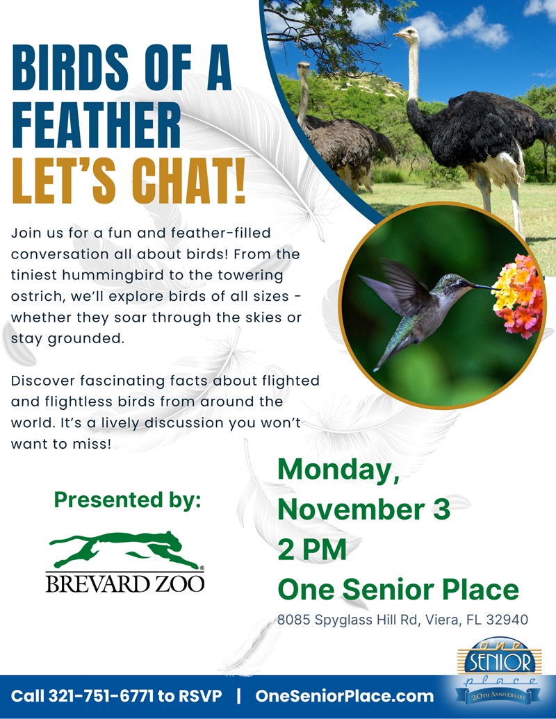 Birds of a Feather: Let's Chat! w/ Brevard Zoo