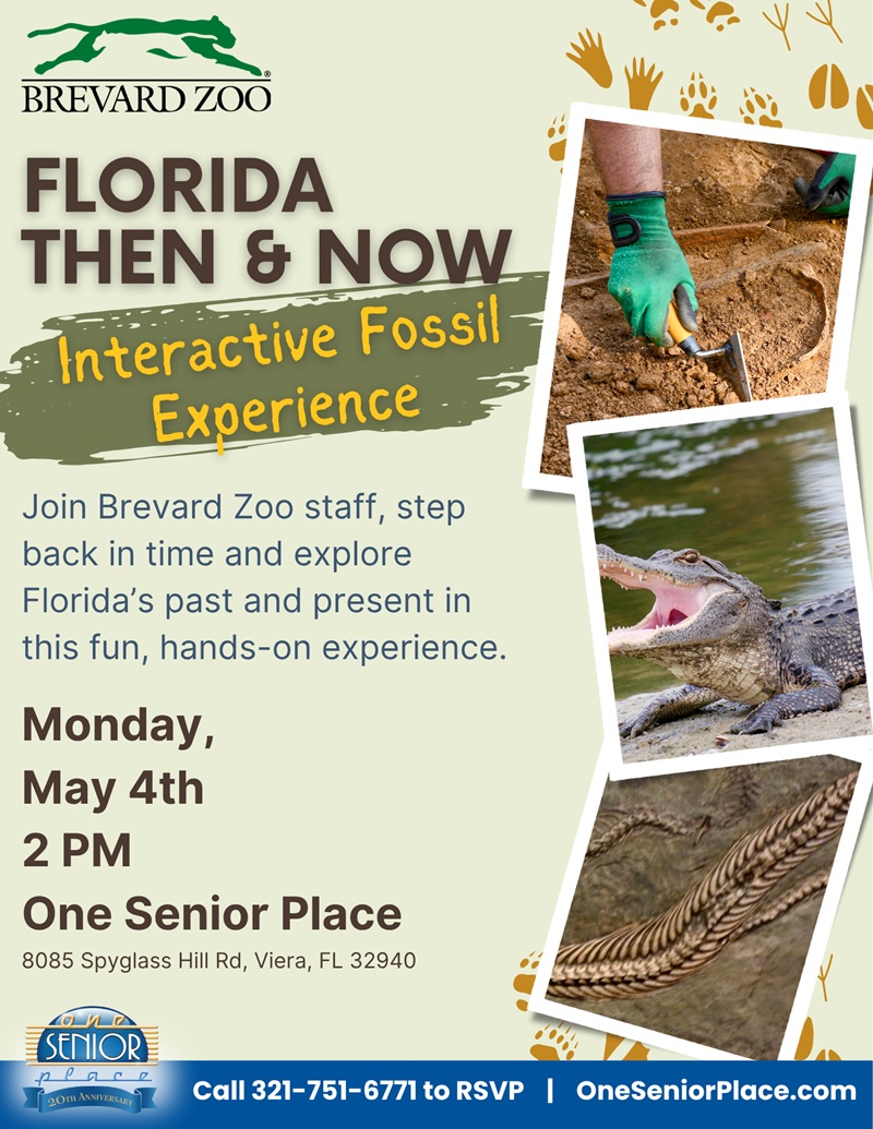 Florida Then & Now Interactive Fossil Experience w/ The Brevard Zoo