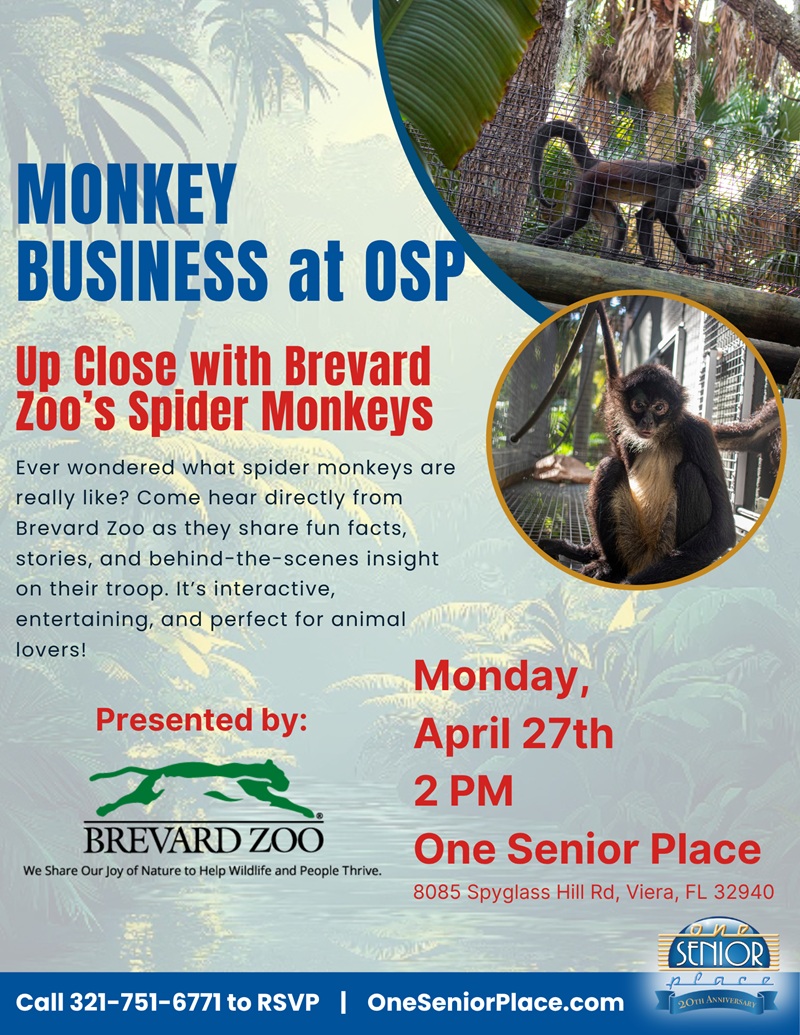 Monkey Business at OSP: Spider Monkey Chat - Learn About the Brevard Zoo Troop!
