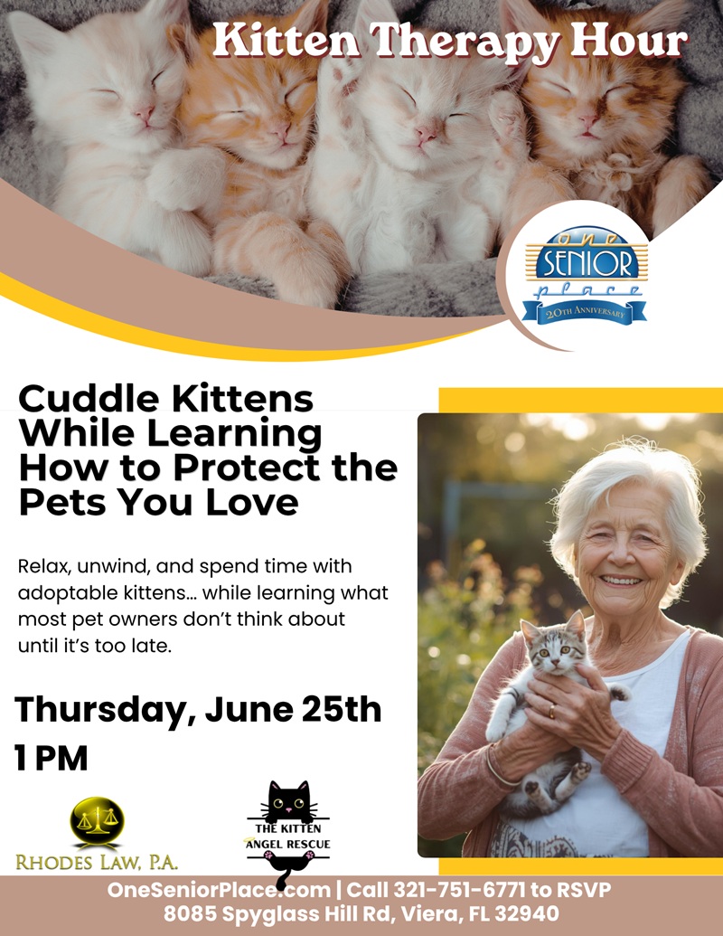 Kitten Therapy Hour