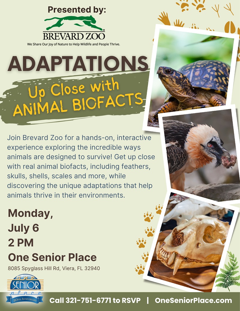 Adaptations: Up Close With Animal Biofacts