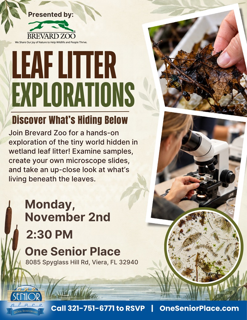 Leaf Litter Explorations: Discover What's Hiding Below w/ Brevard Zoo